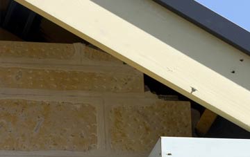 soffit repair Canon Pyon