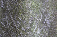Canon Pyon fibreglass roof work