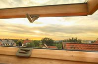 rated Canon Pyon roof window companies